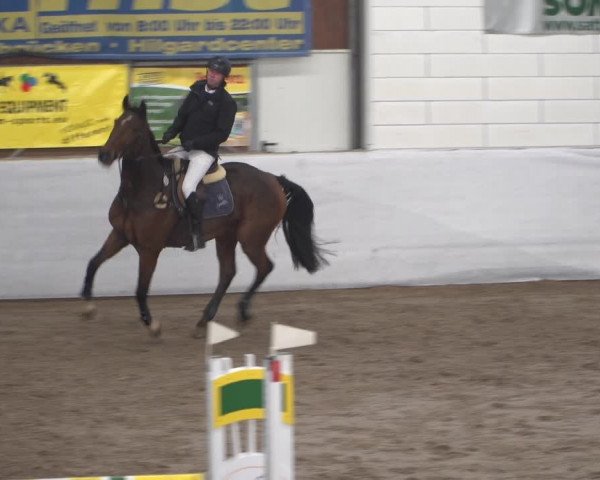 Reitturnier Zweibrücken 2017