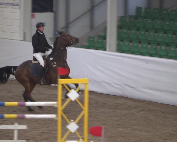 Reitturnier Zweibrücken 2017