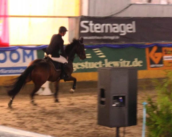 Reitturnier Pausin 2017