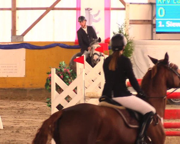 Reitturnier Pausin 2017