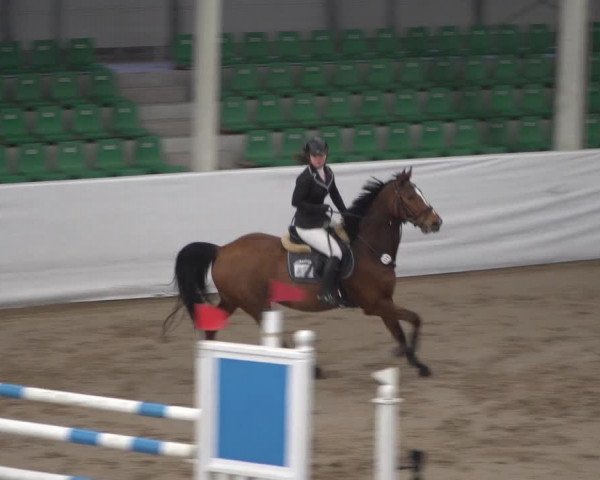 Reitturnier Zweibrücken 2017