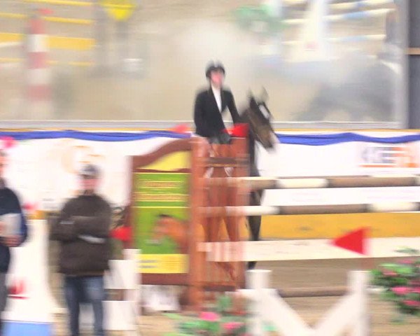 Reitturnier Pausin 2017