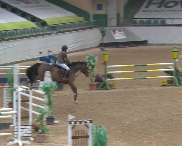Reitturnier Kreuth 2017