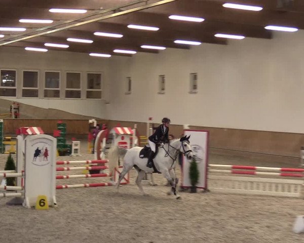 Reitturnier Freudenberg 2017
