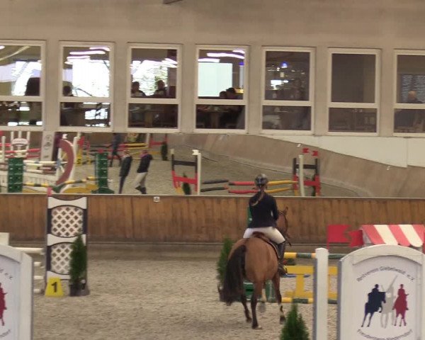 Reitturnier Freudenberg 2017