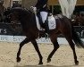 dressage horse Cyber E (German Riding Pony, 2014, from Calido G)