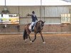 dressage horse Bad Betty (Oldenburg, 2010, from Belissimo NRW)