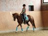 dressage horse Arts Daily Overknees (German Riding Pony, 2006, from Arts-Dancer-Boy)