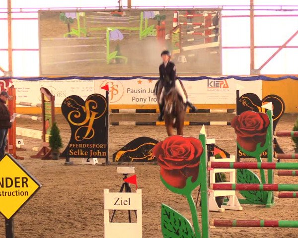 Reitturnier Pausin 2017