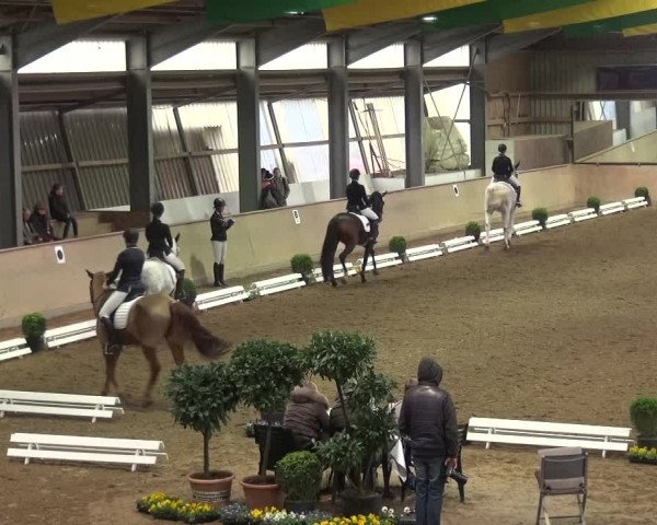 Reitturnier Bonn - Gut Ettenhausen 2017