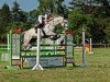 jumper Capitain S (German Sport Horse, 2008, from Clinton H)