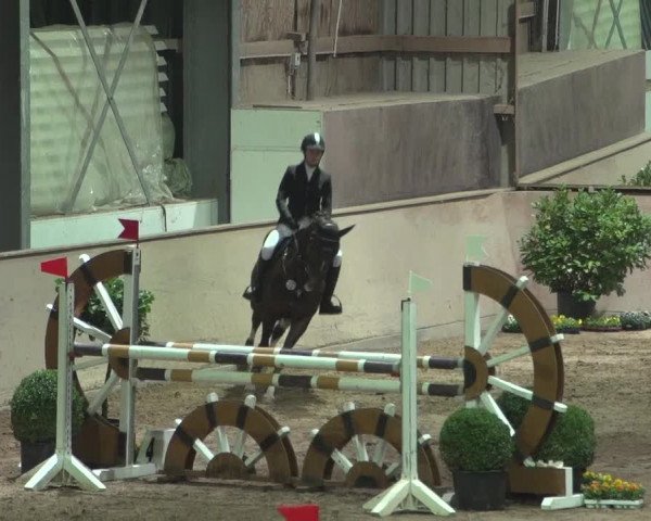 Reitturnier Bonn - Gut Ettenhausen 2017