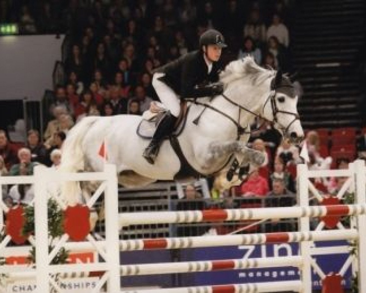 Deckhengst Cruisings Micky Finn (Irish Sport Horse, 1999, von Cruising)
