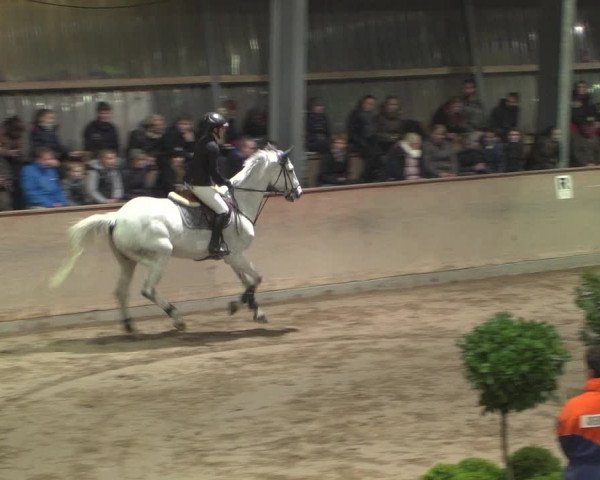 Reitturnier Bonn - Gut Ettenhausen 2017