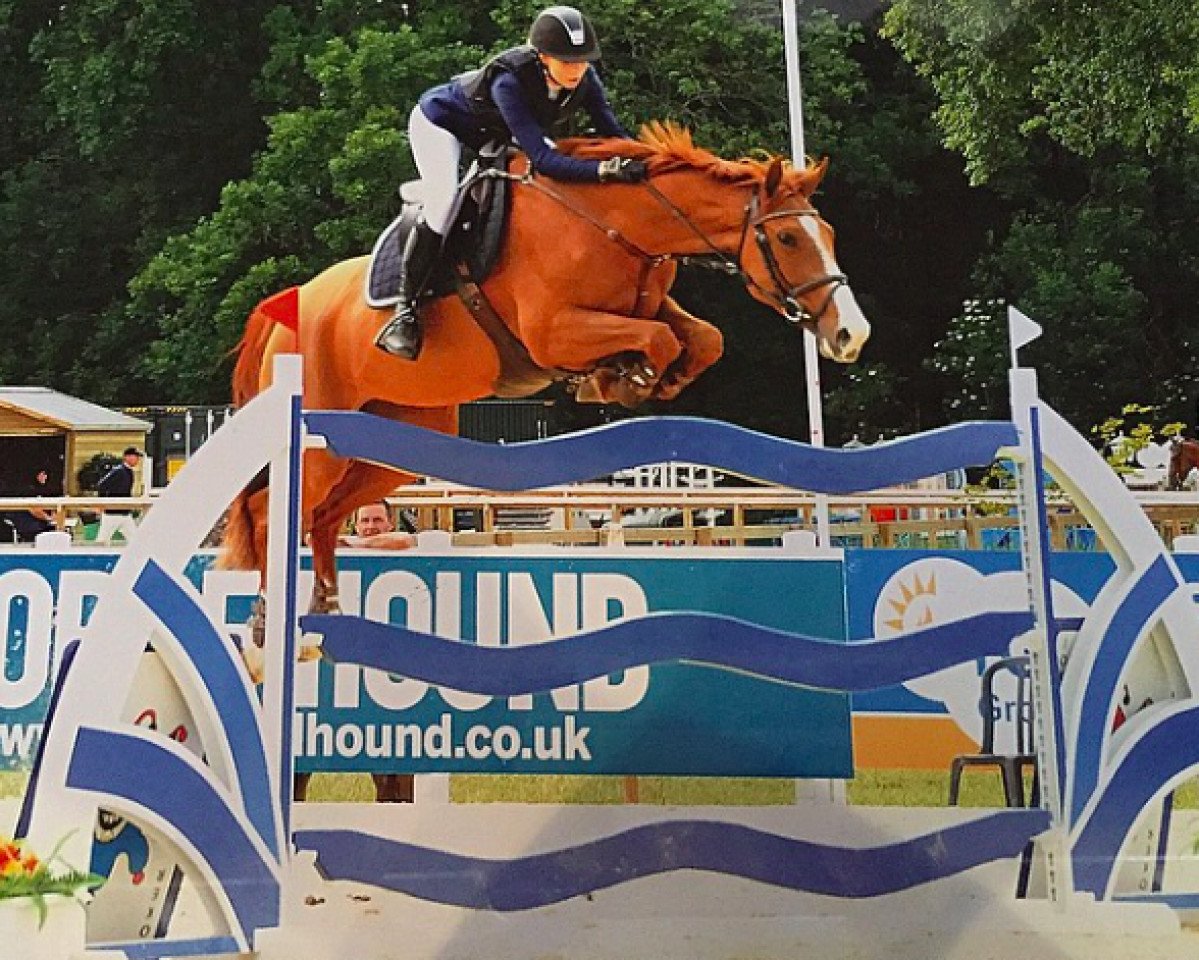 broodmare Castlefield Jess (Irish Sport Horse, 2008, from Obos Quality)