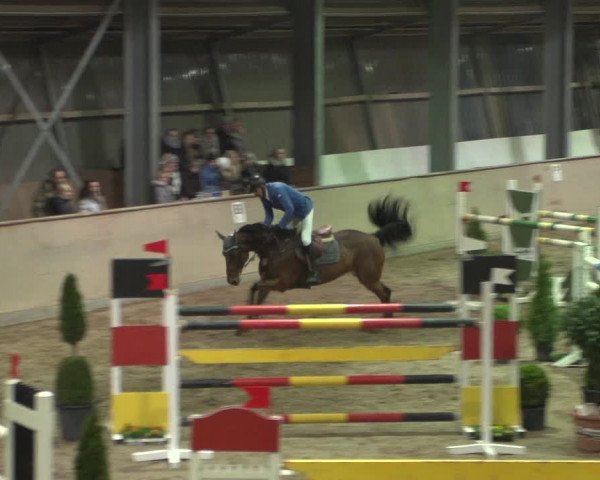 Reitturnier Bonn - Gut Ettenhausen 2017