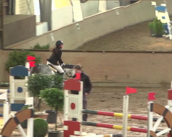 Reitturnier Bonn - Gut Ettenhausen 2017