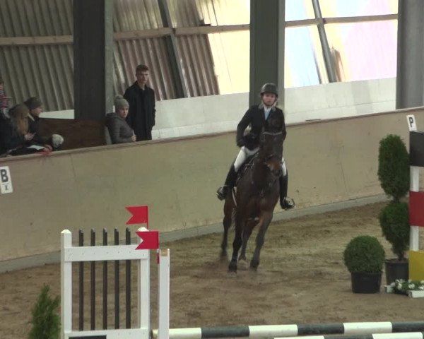 Reitturnier Bonn - Gut Ettenhausen 2017