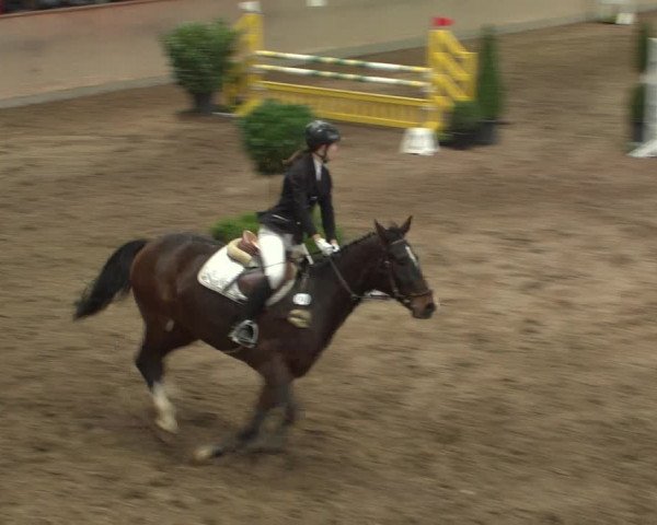Reitturnier Bonn - Gut Ettenhausen 2017