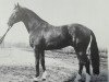 stallion Grenadier (Hanoverian, 1974, from Grunewald)