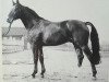 stallion Gardeulan I (Hanoverian, 1975, from Gotthard)