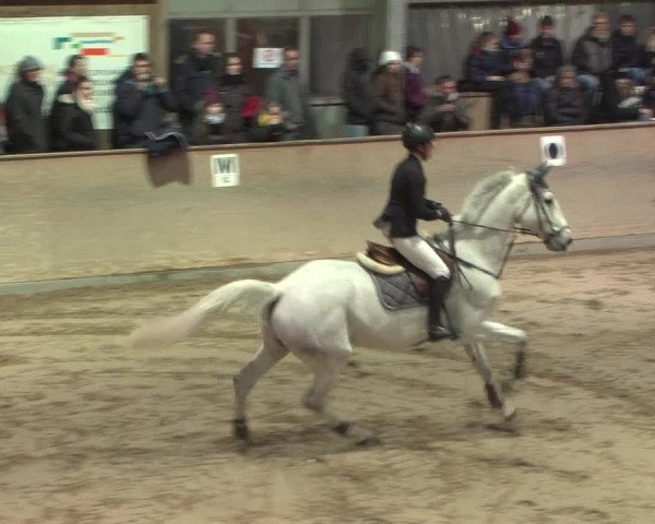 Reitturnier Bonn - Gut Ettenhausen 2017