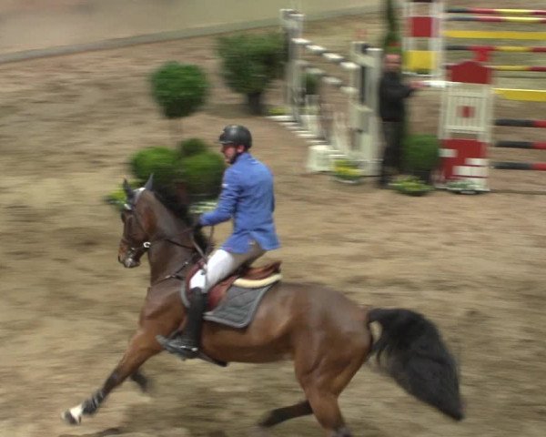 Reitturnier Bonn - Gut Ettenhausen 2017