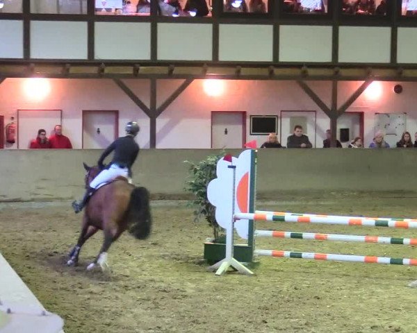 Reitturnier Kamen 2017