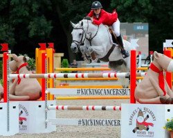 Deckhengst Goliath van de Groenweg (Belgisches Warmblut, 2002, von Conor Mac Nessa)