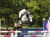 jumper Baileys 100 (Oldenburg show jumper, 2012, from Balou du Rouet)