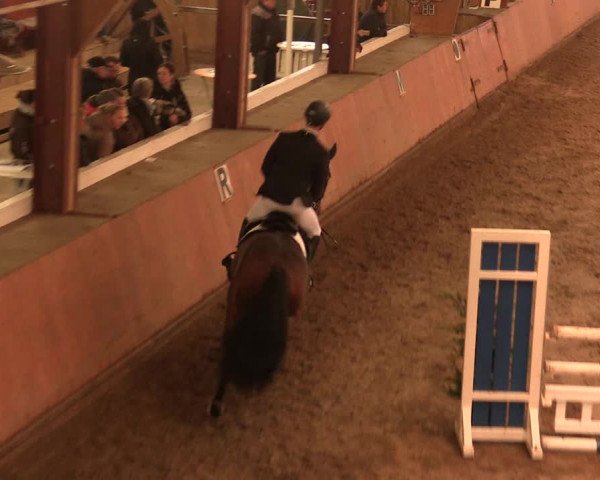 Reitturnier Bad Salzuflen 2017