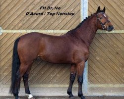 dressage horse Friedrichshof Dr. No (German Riding Pony, 2008, from D'Acord)