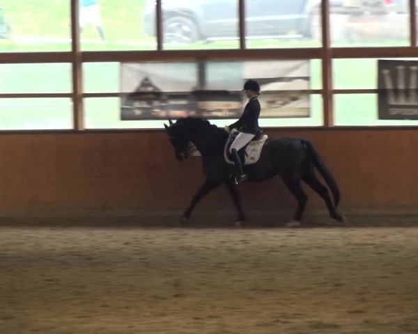 Reitturnier Leichlingen-Witzhelden 2017