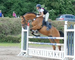 jumper Corvanio (Holsteiner, 2003, from Coriano)