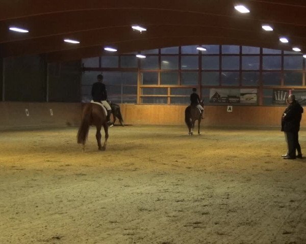 Reitturnier Leichlingen-Witzhelden 2017