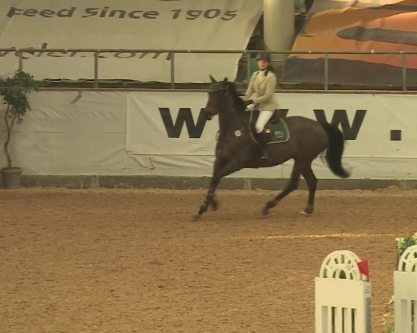 FEI Reitturnier Kreuth (GER) 2017