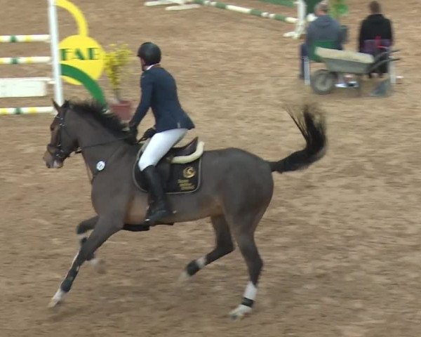 FEI Reitturnier Kreuth (GER) 2017