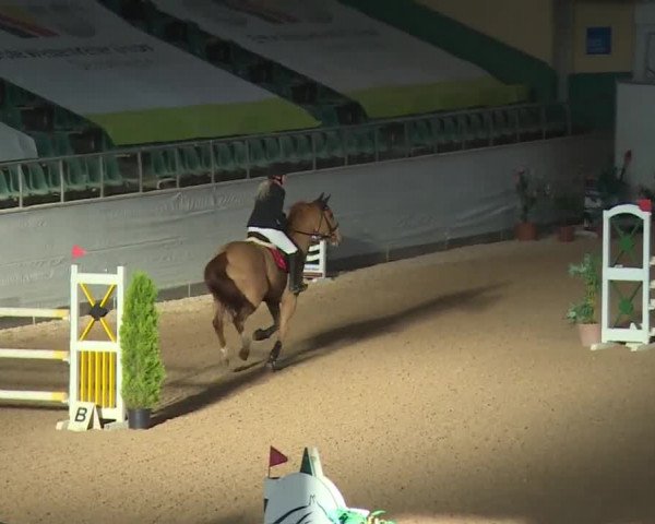 FEI Reitturnier Kreuth (GER) 2017