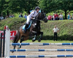 dressage horse Wiktor 4 (Polish Warmblood, 2004, from Alamo)