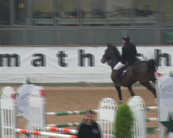FEI Reitturnier Kreuth (GER) 2017