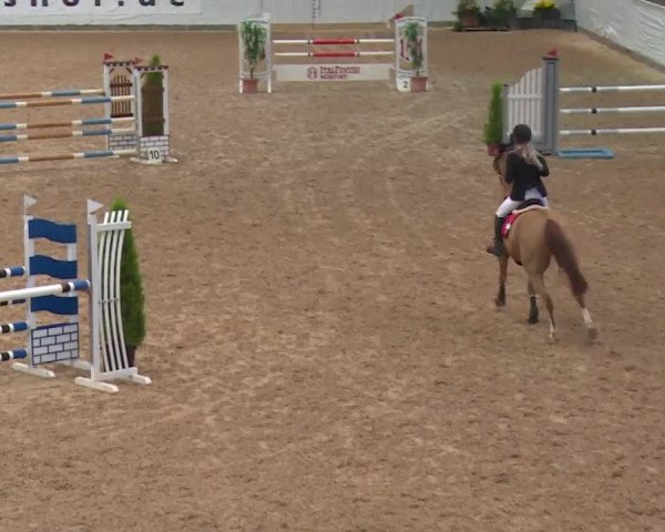 FEI Reitturnier Kreuth (GER) 2017