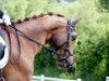 dressage horse Westwind B (Trakehner, 2012, from Phlox)