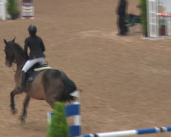 FEI Reitturnier Kreuth (GER) 2017