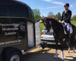 dressage horse San Christobal SG (Hanoverian, 2014, from Susu's Boy)