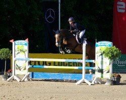 dressage horse Penelope 318 (Westphalian, 2003, from Potsdam)