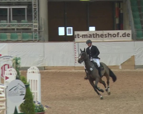 FEI Reitturnier Kreuth (GER) 2017