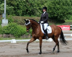 dressage horse Valentino von Blottnitz (Hanoverian, 2008, from Valentino)