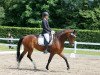 dressage horse Eowin 4 (Hanoverian, 2010, from Embassy III)