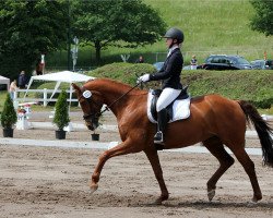 dressage horse Hillary 89 (Hanoverian, 2007, from Hochadel)