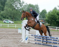 jumper Alexandro 19 (KWPN (Royal Dutch Sporthorse), 2005, from Sydney)